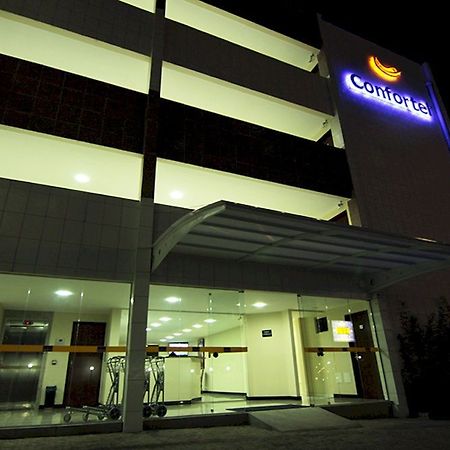Confortel Executive 大坎皮纳 外观 照片